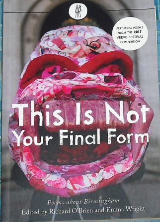 Cover of This is Not Your Final Form