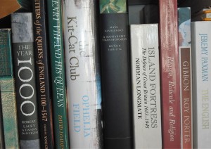 Section of non-fiction bookshelf