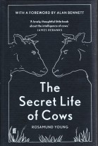secret-life-of-cows-2